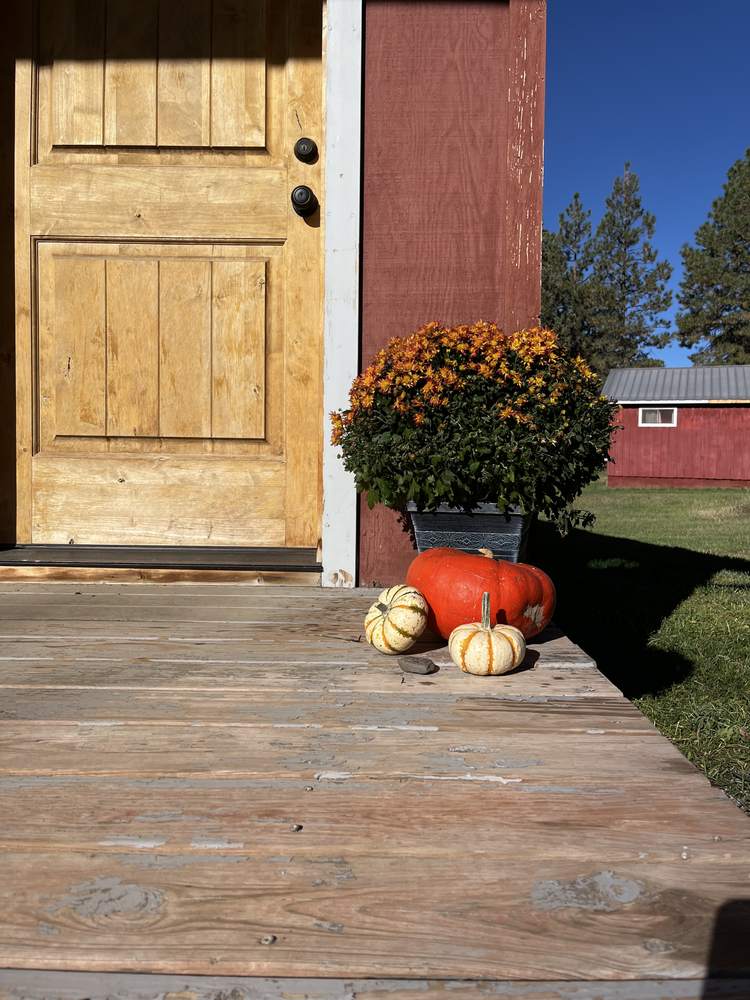 A cabin porch dressed with mums and pumpkins in fall