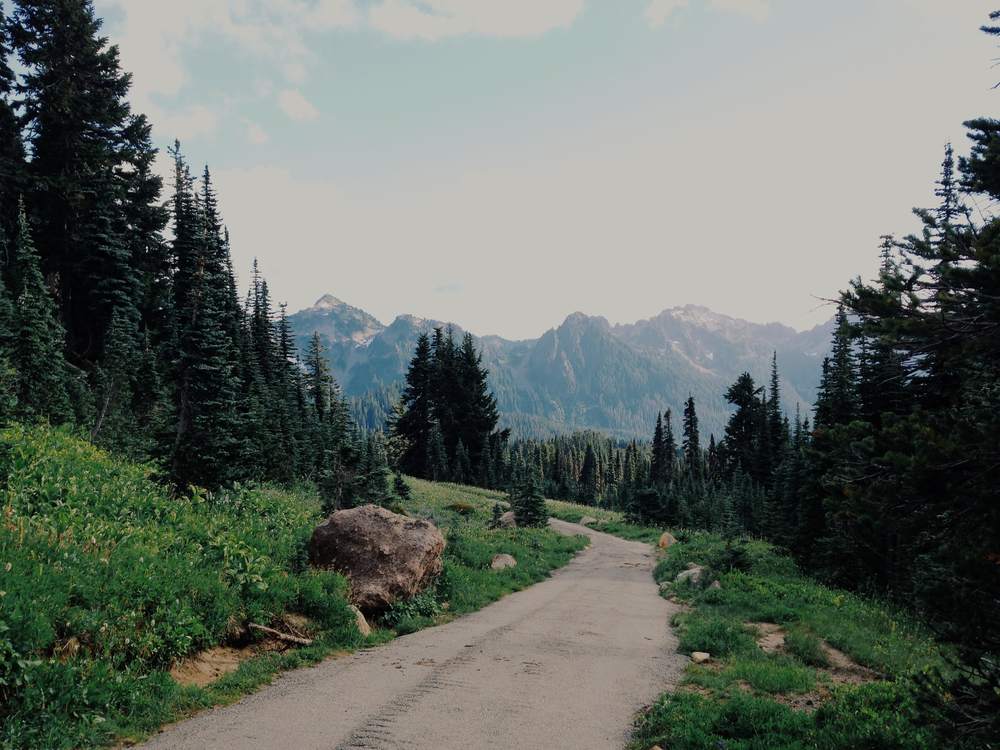 A dirt trail winding through evergreens toward the peaks of the La Plata Mountains